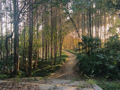 -上海市保健医疗中心