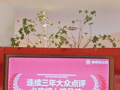 -老板恋上鱼(恒隆广场店)