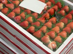 -Dark Horse·黑马蛋糕·低脂·低糖淡奶(金匙望湖大厦店)