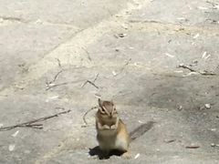 -五营红松林海景区