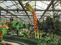 -南宫五洲植物乐园