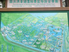 -泗洪洪泽湖湿地景区