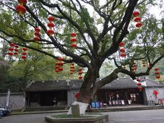 -宁波市保国寺古建筑博物馆
