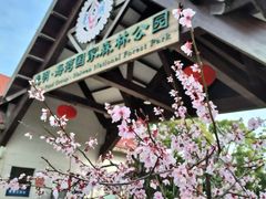 -上海海湾国家森林公园