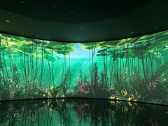-中国湿地博物馆