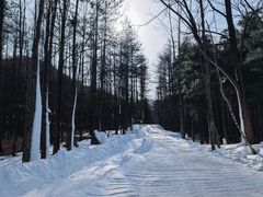 -洛阳白云山景区