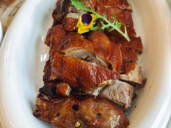 -椿记烧鹅(叠彩店)