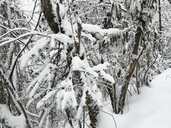 -九峰山