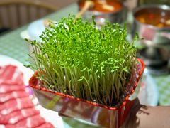 -番食园鲜食火锅(高新店)