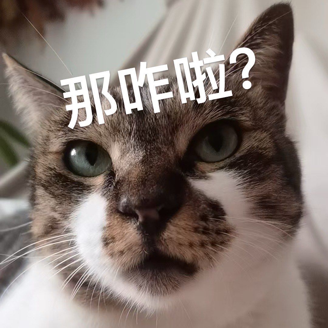 小动物能有多治愈 

小动物无意间露出的表情真的很搞笑,给平淡