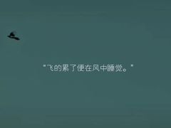 -V SHOW max KTV(粉巷店)