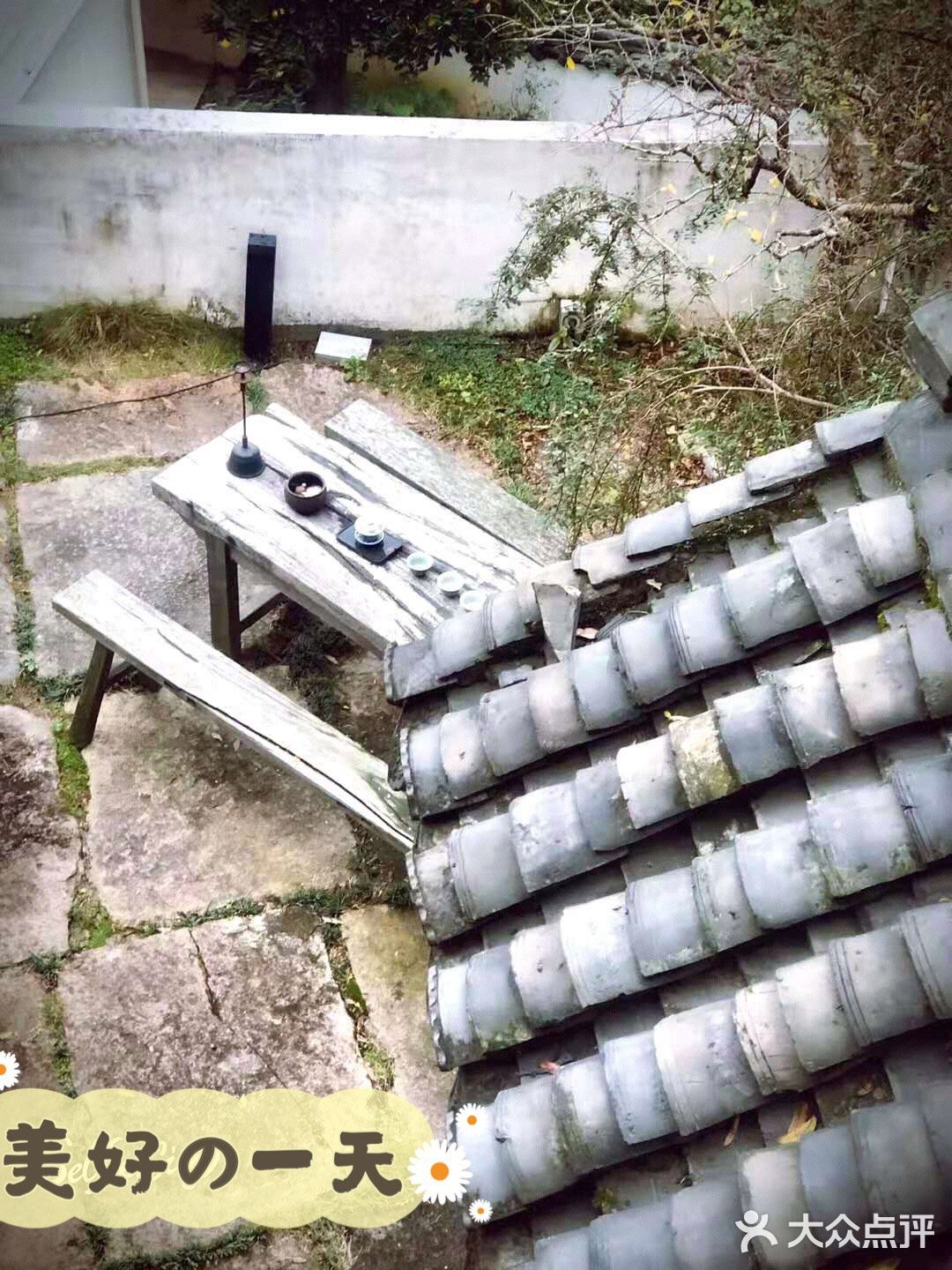 采菊东篱下