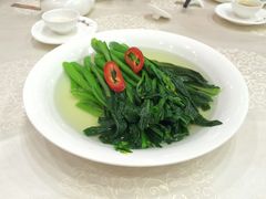 菜心-金成潮菜博物馆(海珠湿地店)