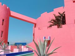 -漳州滨海火山岛自然生态风景区