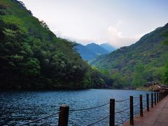 -祁门牯牛降观音堂风景区