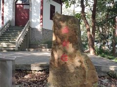 -上海佘山国家森林公园天马山园