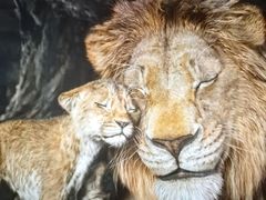 -华谊兄弟影院(IMAX洋桥店)