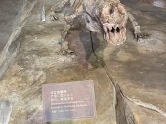 -自贡恐龙博物馆