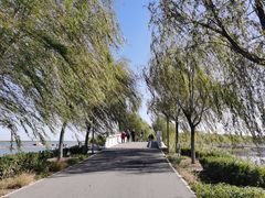 -天津东丽湖风景区