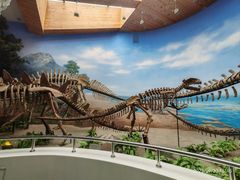 -延庆地质公园博物馆