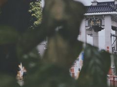 -长洲岛