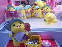 -探险阳光乐园(东区利和店)
