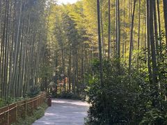 -天目湖山水园