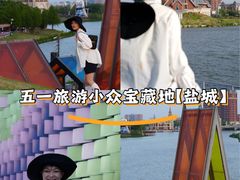 -荷兰花海