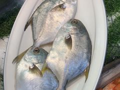 -龙香居海鲜浑锅家常菜·特色驴肉