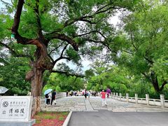 -北陵公园