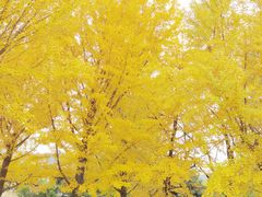 -北京植物园-展览温室