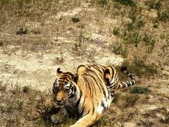 -西霞口神雕山野生动物世界