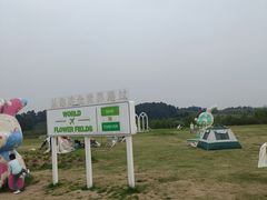 -空港花田景区