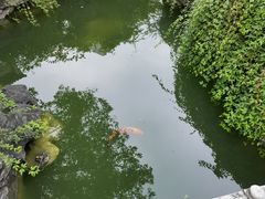 -祝家花園(伯渎港店)