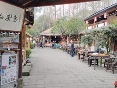 -青城甲(青城山店)