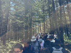 -芦芽山旅游度假区