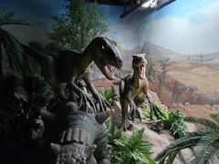 -国家自然博物馆