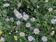 -长春公园(普阳街道)