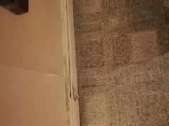 -上海棕榈滩海景酒店