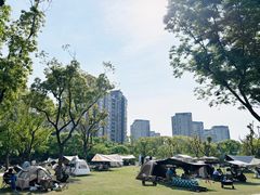 -新江湾城公园
