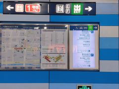 -大望路(地铁站)