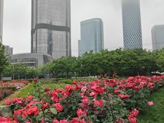 -大望京公园