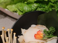 六秒螺片-海底捞火锅(漫乐城夜宵主题店)