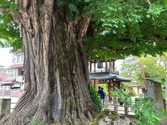 -医王山·飞騨国分寺