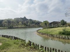 -王借岗森林公园