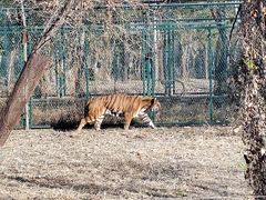 -秦皇岛野生动物园
