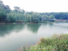 -聚龙山公园
