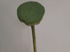 -太湖面馆十八浇(渔港路店)