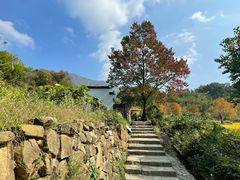 -塔川景区