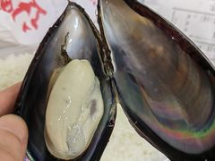 -广达眼镜炖罐(广达店)